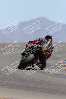 media/Apr-09-2023-SoCal Trackdays (Sun) [[333f347954]]/Turn 12 Backside (1pm)/